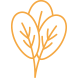 icono-luteina-zeaxantina.png