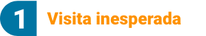 visita inesperada
