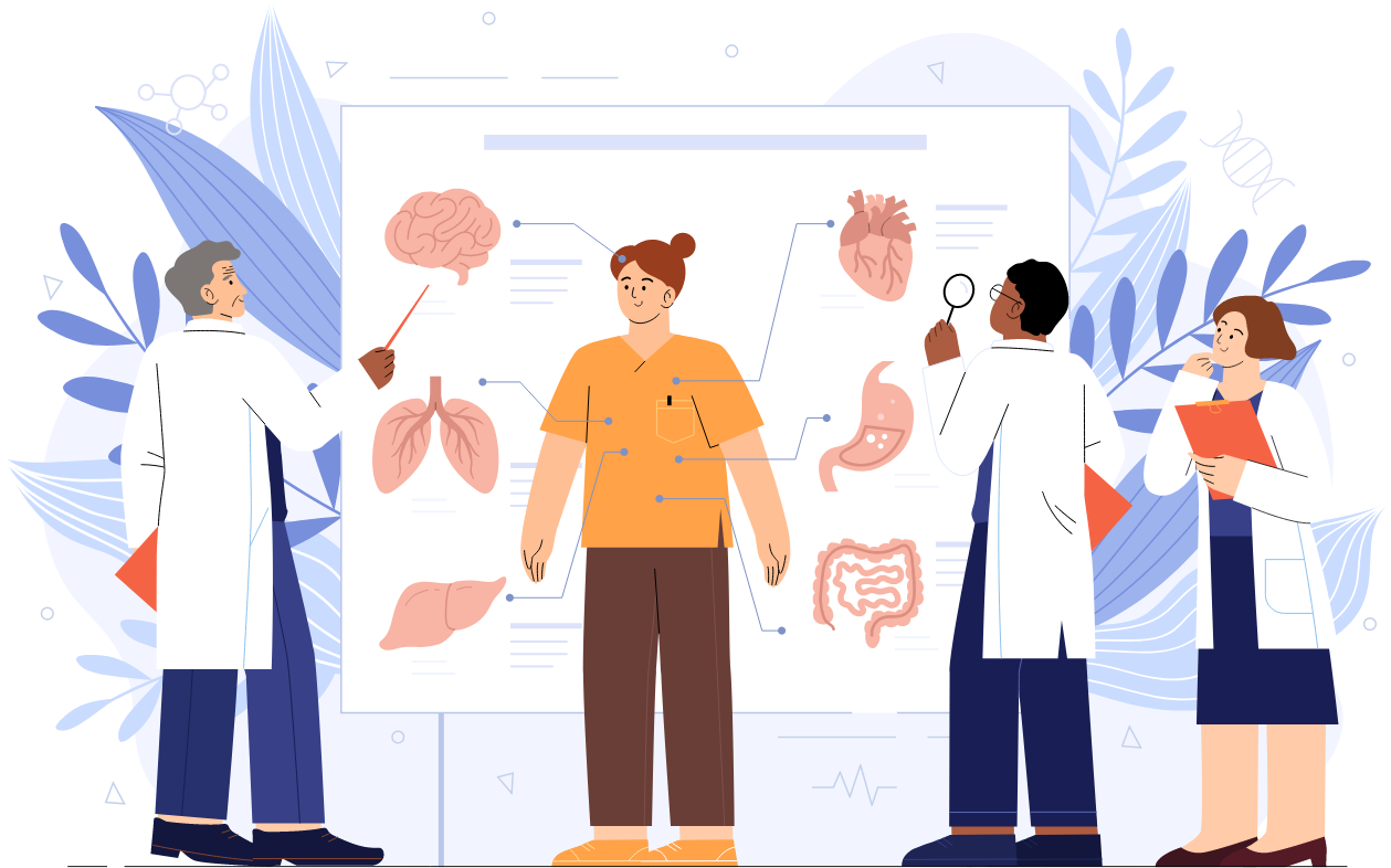Anatomía humana