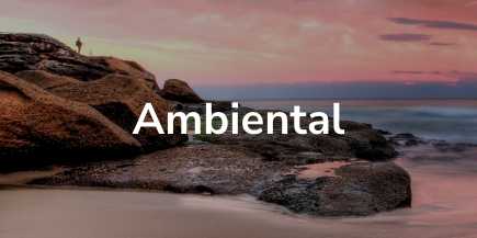 ambiental