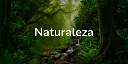 Naturaleza
