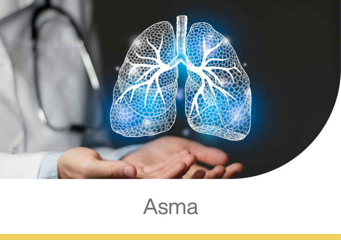 pulmones en realidad aumentada