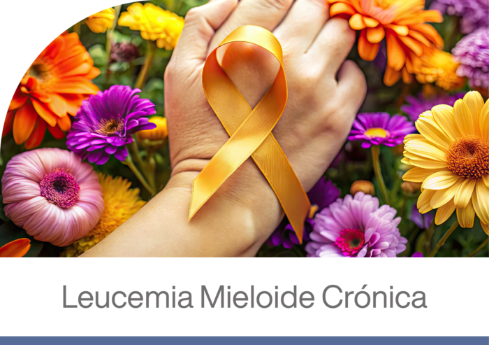 mano sobre flores silvestres