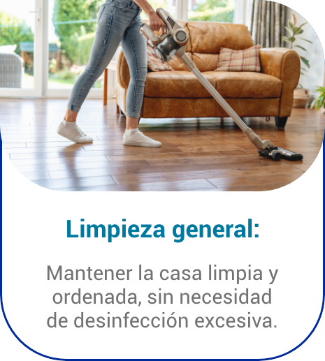 Limpieza general