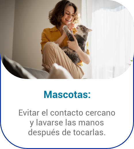 Mascotas