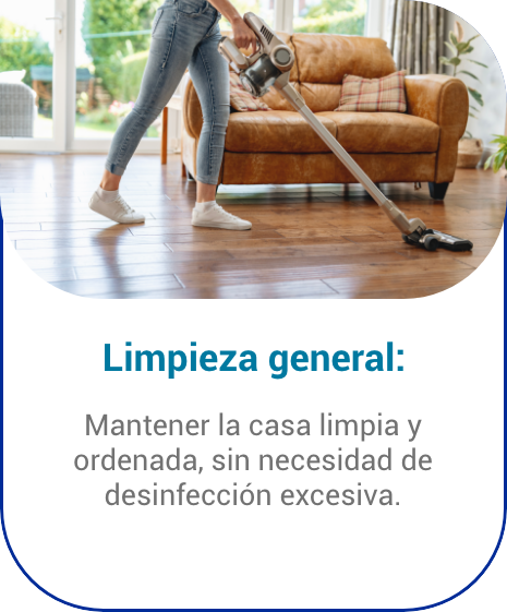 Limpieza general