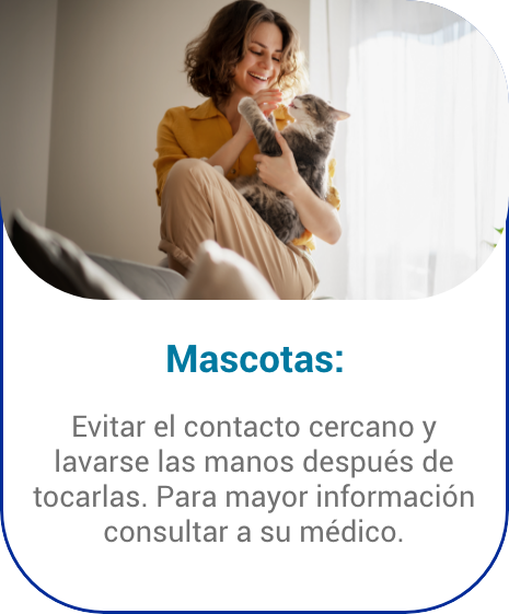 Evitar contacto con mascotas despues de lavarse las manos