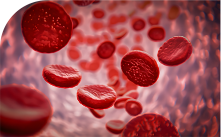 Trombocitopenia primera pagina