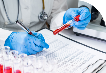 lab