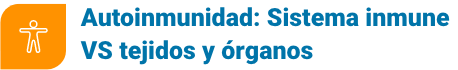 grupo 2667