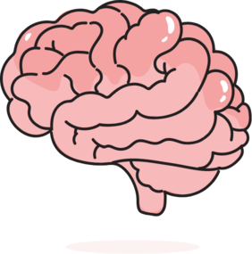 Img_cerebro Img_cerebro