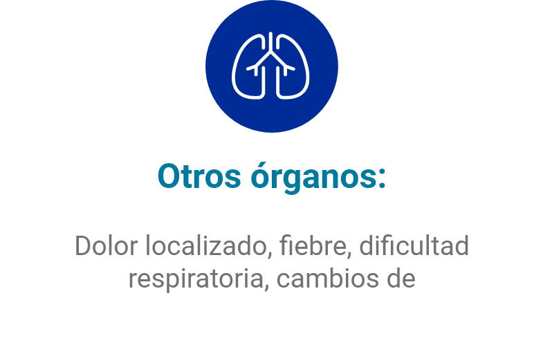 Otros órganos