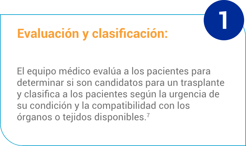 Card Evaluación y clasificación