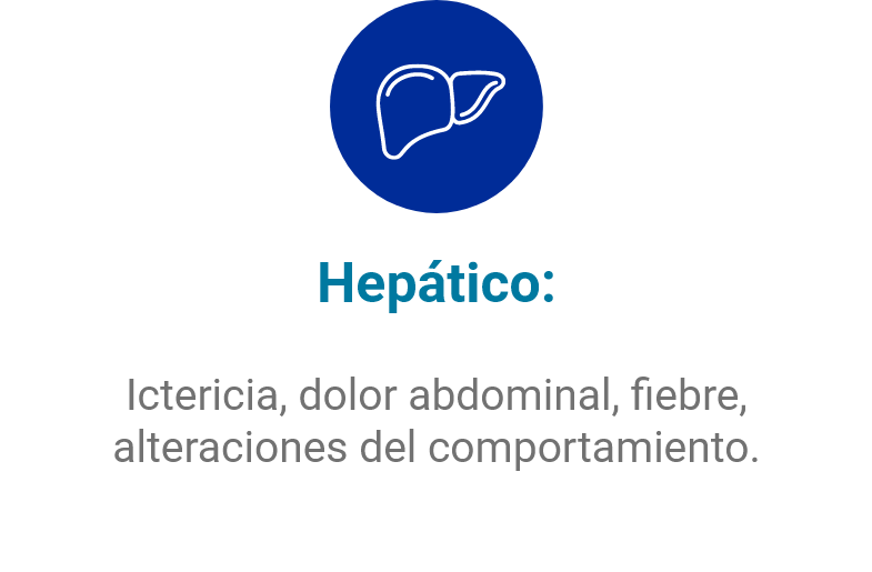 Hepático