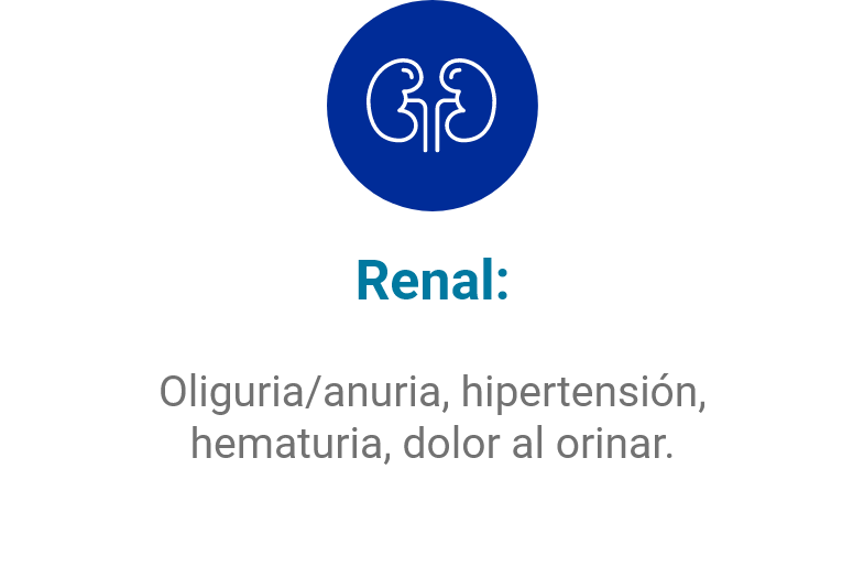 Renal