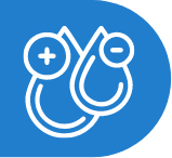 Icon Grupo Sanguíneo 2