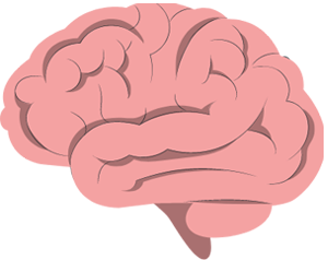 Img_Cerebro Img_Cerebro