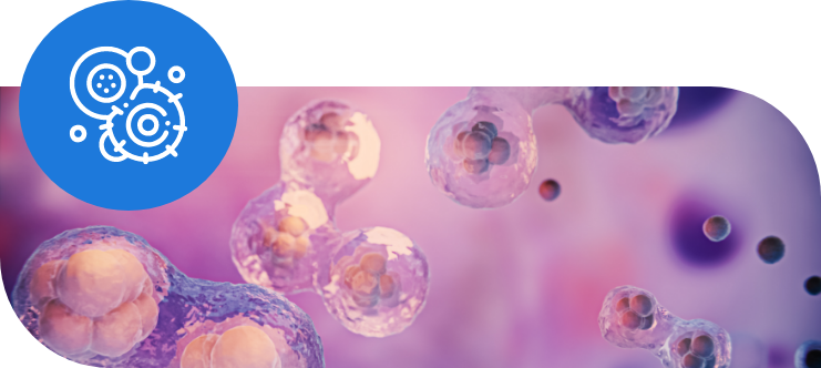 Donación de órganos células