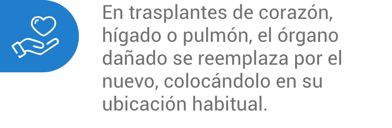 intervención quirúrgica 4