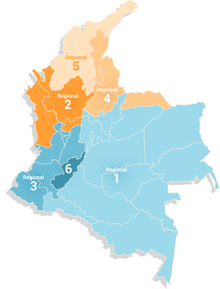 mapa priorización de un órgano